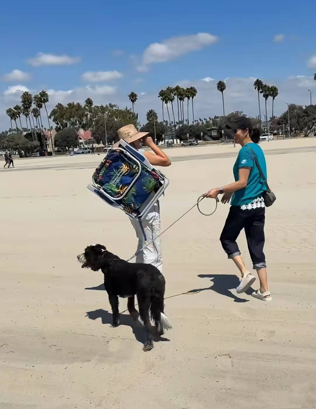 https, img https, img