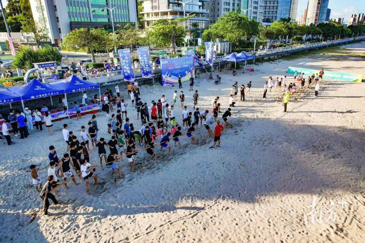 msn, 体育和训练 msn, 体育和训练